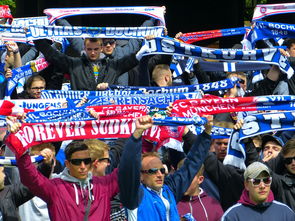 九游游戏中心-斯诺克史上最硬核的解球,没有之一,全场球迷看的目瞪口呆,斯诺克解球规则及玩法