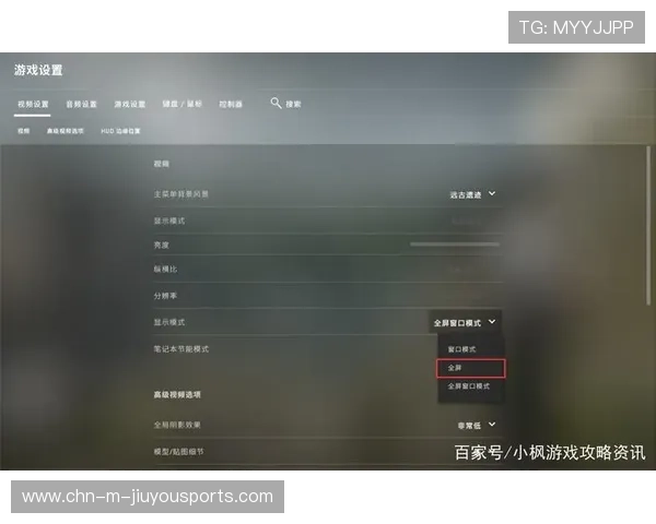 CSGO2职业选手设置大全