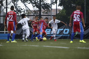 九游游戏-中国足球协会召开年度总结大会,中国足球协会会长是谁